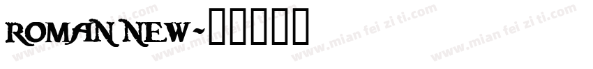 roman new字体转换
